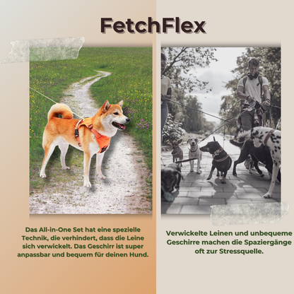 FetchFlex All-in-One Geschirr für entspannte Ausflüge